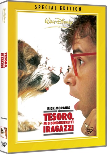 Dvd tesoro si sono - dvd,