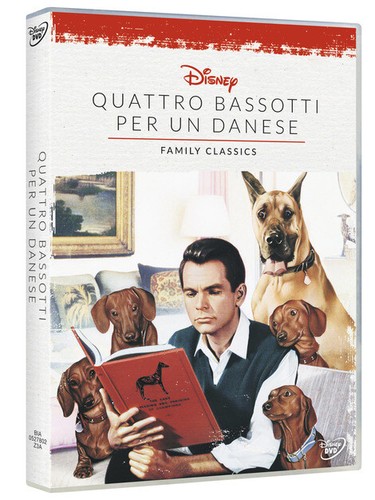 Bassotti per danese - bassotti,
